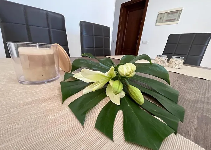 بيت للعطل Aloe 4