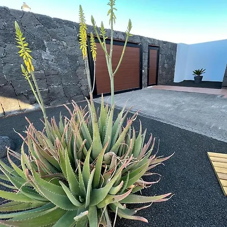 بيت للعطل Aloe 4