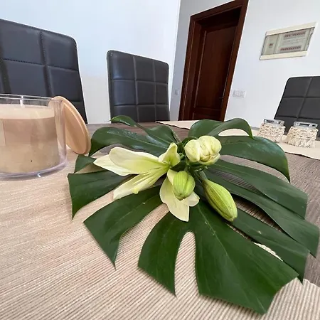 بيت للعطل Aloe 4