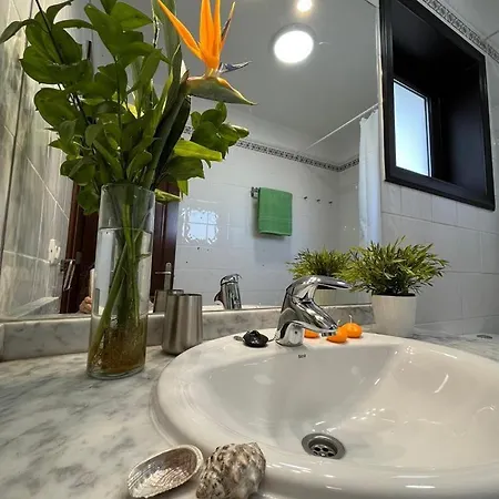 Aloe 4 * بلايا بلانكا